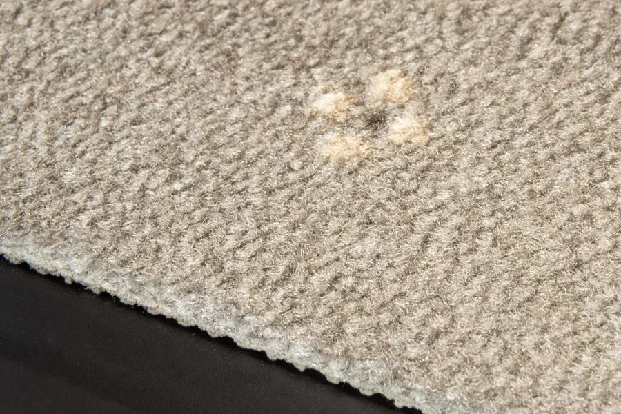 AW Animo AW Animo 49 фото 5 | FLOORDEALER