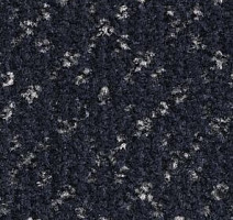 Ковролин Balsan Lounge Lounge 990 фото 1 | FLOORDEALER