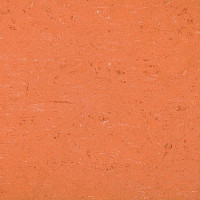 Colorette 0016 Deep Orange фото 1 | FLOORDEALER