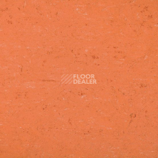 Линолеум Colorette 0016 Deep Orange фото 1 | FLOORDEALER