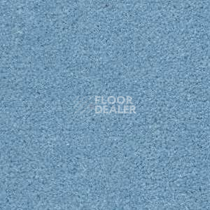 Ковролин Radici Montecarlo 22 фото 1 | FLOORDEALER