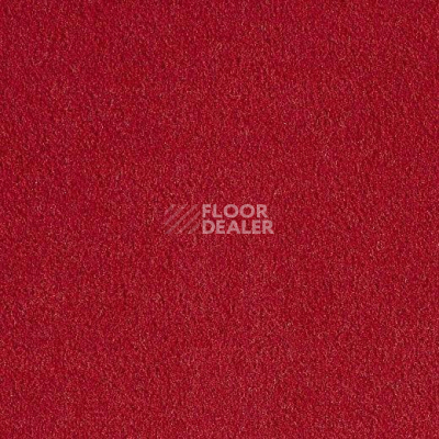 Ковролин Lano Bergamo Ber 0110 фото 1 | FLOORDEALER
