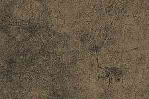 Ковролин Ege Highline Nature rf 52952245 фото  | FLOORDEALER