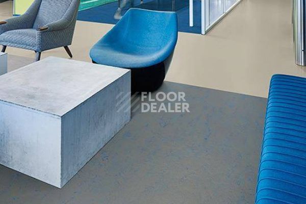 Линолеум Marmoleum Solid Concrete 3734-373435 blue shimmer фото 3 | FLOORDEALER