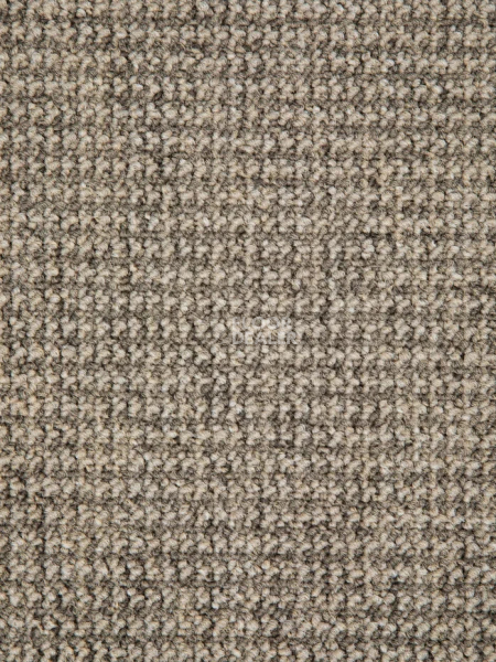 Ковролин Condor Dynamic 72 фото 1 | FLOORDEALER