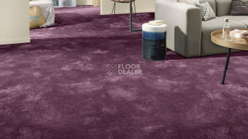 Vorwerk Superior 1064/Lyrica Vorwerk 1n42 фото 2 | FLOORDEALER