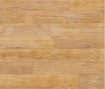 Линолеум Novoflor Extra Wood 2017-3 фото 1 | FLOORDEALER