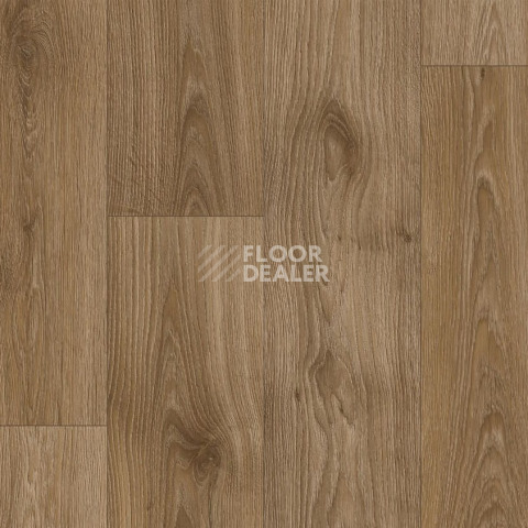 Линолеум Tarkett Craft Tomas 3 фото 1 | FLOORDEALER