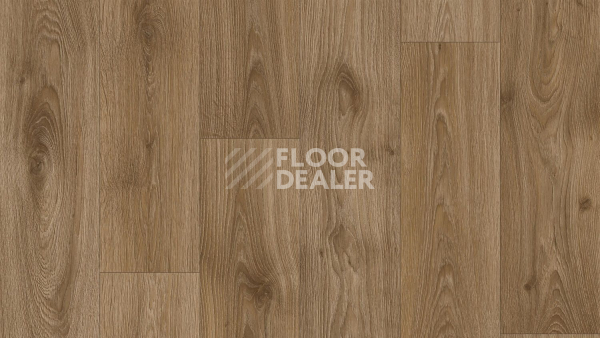 Линолеум Tarkett Craft Tomas 3 фото 1 | FLOORDEALER