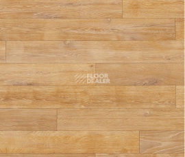 Линолеум Novoflor Extra Wood 2017-3 фото 1 | FLOORDEALER