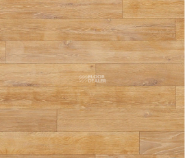 Novoflor Extra Wood 2017-3 фото 1 | FLOORDEALER