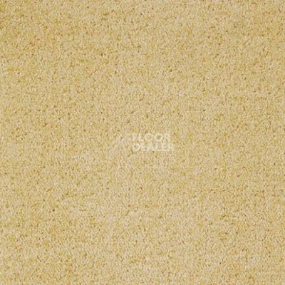 Ковролин Sintelon Spark 13754 фото 1 | FLOORDEALER