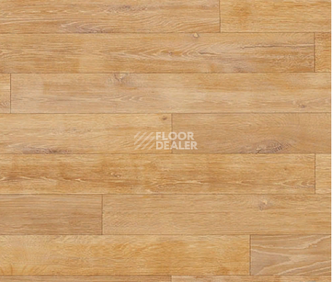 Линолеум Novoflor Extra Wood 2017-3 фото 1 | FLOORDEALER