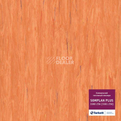 Линолеум Tarkett Somplan Plus 3380 256 (3381 256) фото 1 | FLOORDEALER