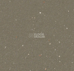 Линолеум Forbo SafeStep R11 174262 umber фото 1 | FLOORDEALER