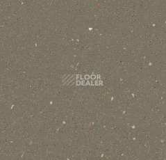 Линолеум Forbo SafeStep R11 174262 umber фото 1 | FLOORDEALER