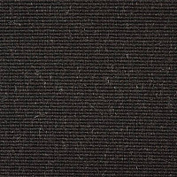 Ковролин Carpet Concept Eco Wool 595017 фото 1 | FLOORDEALER