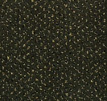 Ковролин Big Venezia 238 фото 1 | FLOORDEALER