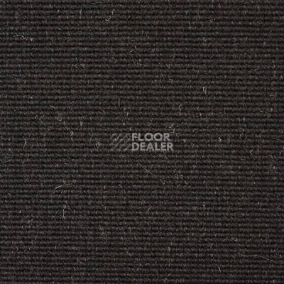 Ковролин Carpet Concept Eco Wool 595017 фото 1 | FLOORDEALER