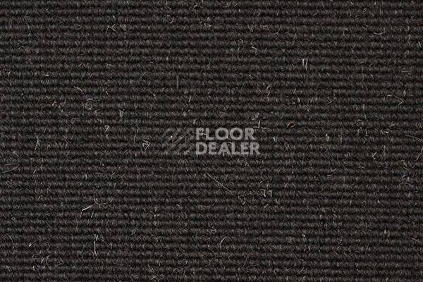 Ковролин Carpet Concept Eco Wool 595017 фото 1 | FLOORDEALER