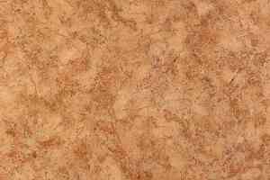 Линолеум Tarkett Standard Gost NUBIA_3 фото  | FLOORDEALER