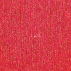 Innovflor Basis 03 фото 1 | FLOORDEALER