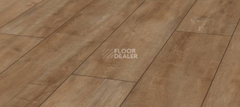 Ламинат Kronotex Exquisit Plus d4983 Дуб Восточный Натуральный фото 1 | FLOORDEALER