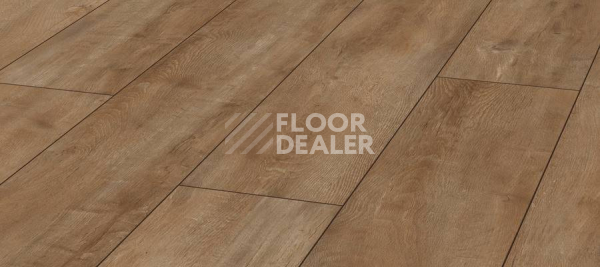 Ламинат Kronotex Exquisit Plus d4983 Дуб Восточный Натуральный фото 1 | FLOORDEALER