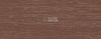 Плинтус Dollken EP 60/13 2589 фото 2 | FLOORDEALER