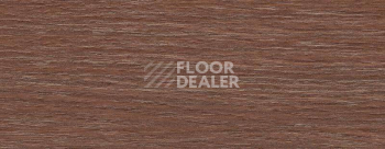 Плинтус Dollken EP 60/13 2589 фото 2 | FLOORDEALER
