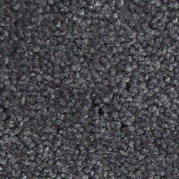 Ковролин Serene Beaulieu of America 17 фото 1 | FLOORDEALER