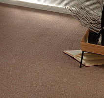 Калинка Геркулес