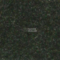 Ковролин Shaw all That Jazz 21327 фото 1 | FLOORDEALER