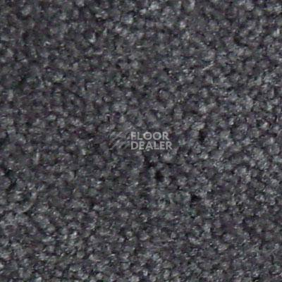 Ковролин Serene Beaulieu of America 17 фото 1 | FLOORDEALER