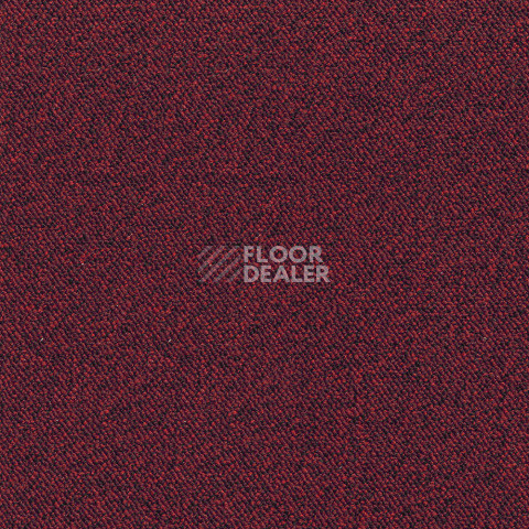 Ковролин Associated Weavers Maxima 12 фото 1 | FLOORDEALER