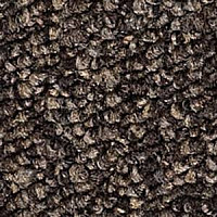 Ковролин Infloor Campo 750 фото 1 | FLOORDEALER