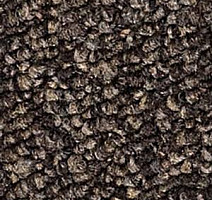 Ковролин Infloor Campo 750 фото 1 | FLOORDEALER