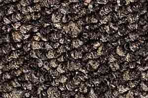 Ковролин Infloor Campo 750 фото  | FLOORDEALER