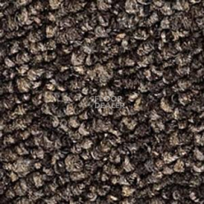 Ковролин Infloor Campo 750 фото 1 | FLOORDEALER