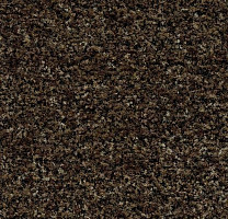 Грязезащитные покрытия Forbo Coral в плитке 5774 Biscotti Brown фото 1 | FLOORDEALER