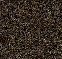 Грязезащитные покрытия Forbo Coral в плитке 5774 Biscotti Brown фото 1 | FLOORDEALER
