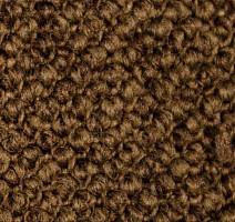 Ковролин Carpet Concept Eco Cut 60276 фото 1 | FLOORDEALER