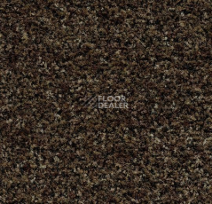 Грязезащитные покрытия Forbo Coral в плитке 5774 Biscotti Brown фото 1 | FLOORDEALER