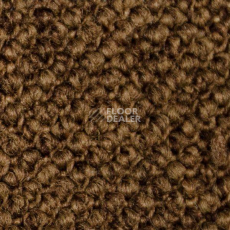 Ковролин Carpet Concept Eco Cut 60276 фото 1 | FLOORDEALER