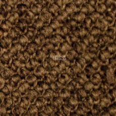 Carpet Concept Eco Cut 60276 фото 1 | FLOORDEALER