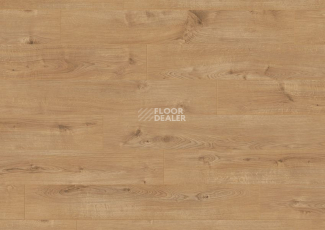 Terhurne Classic Line 192мм 1844  Дуб Золотисто - Коричневый  1101020812 фото 2 | FLOORDEALER