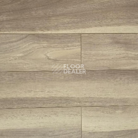 Ламинат Biela Cbm Silence 10мм 735-10 Дуб Рейвиз фото 1 | FLOORDEALER