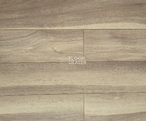 Ламинат Biela Cbm Silence 10мм 735-10 Дуб Рейвиз фото 1 | FLOORDEALER