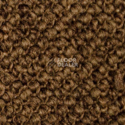 Ковролин Carpet Concept Eco Cut 60276 фото 1 | FLOORDEALER