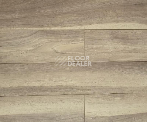 Ламинат Biela Cbm Silence 10мм 735-10 Дуб Рейвиз фото 1 | FLOORDEALER